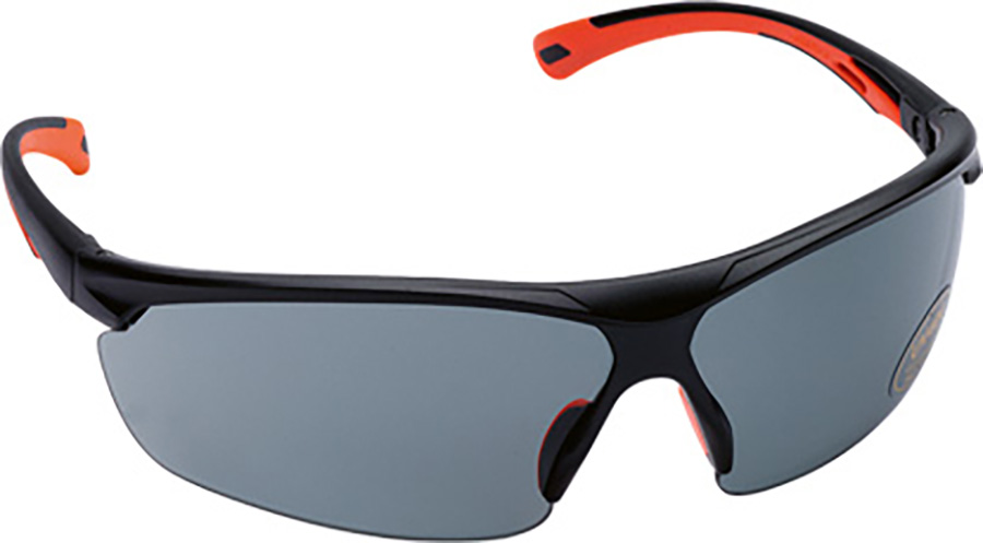 Schutzbrille MSA MOVE