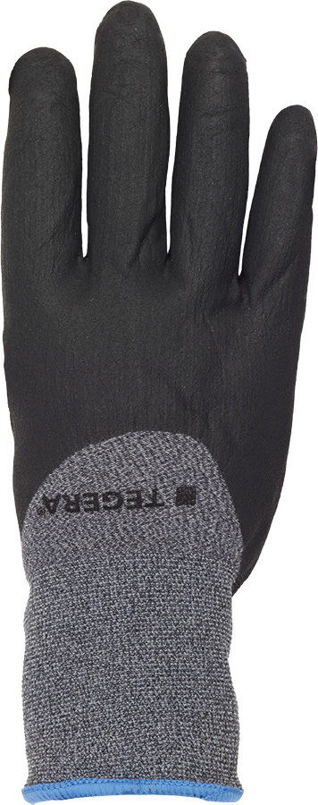 Schutzhandschuhe EJENDALS TEGERA 874